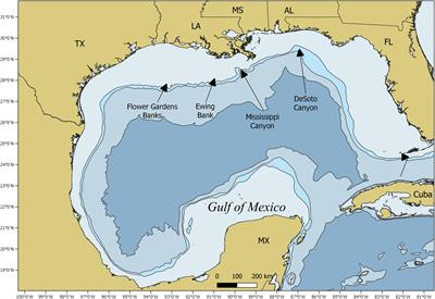 Seasonal Occurrence, Horizontal Movements, and Habitat Use Patterns of Whale Sharks (Rhincodon typus) in the Gulf of Mexico